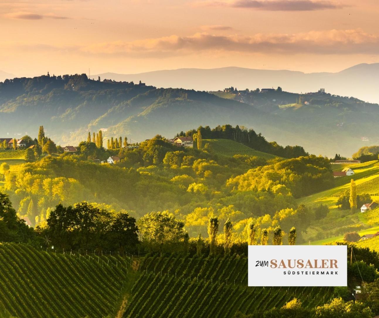 Zum Sausaler - Boutique Hotel-Pension Suedsteiermark Sankt Nikolai im Sausal エクステリア 写真